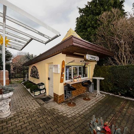 Pension Seilerberg Freiberg Extérieur photo